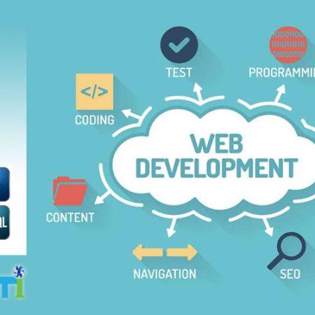 Professional Web Development