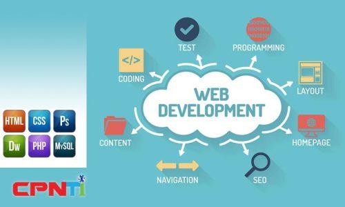 Professional Web Development